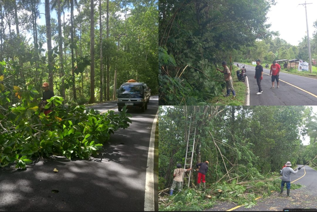 Screenshot_20260306-221635