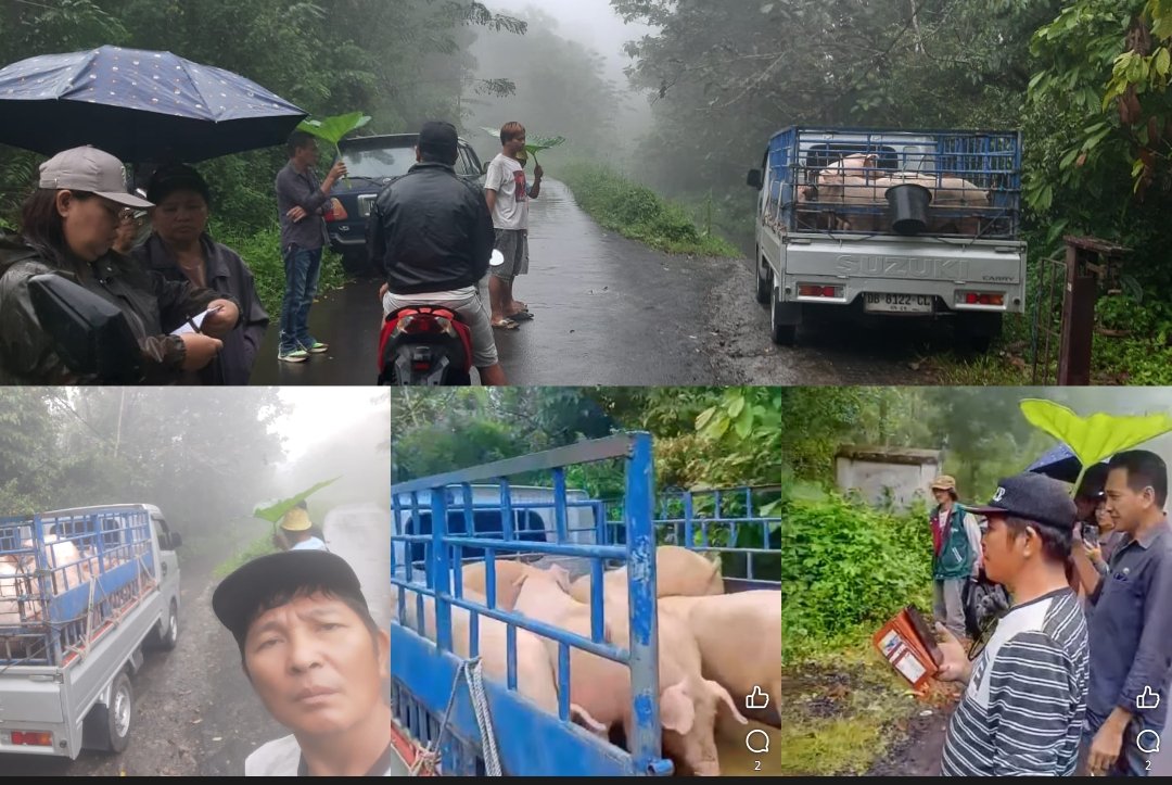 Screenshot_20260311-171019